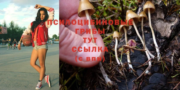 герыч Алексин