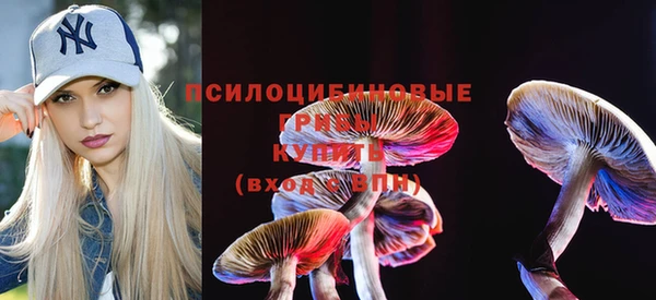 круглые Абаза