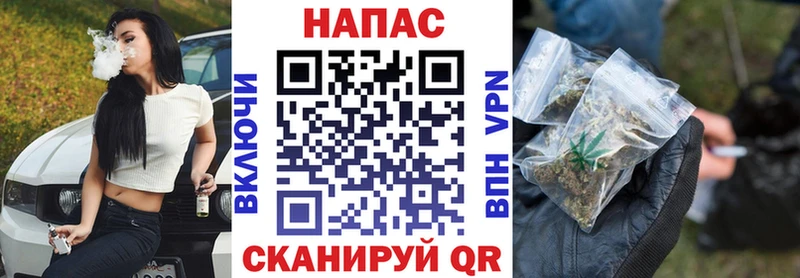 Шишки марихуана сатива  цена   Ессентукская 
